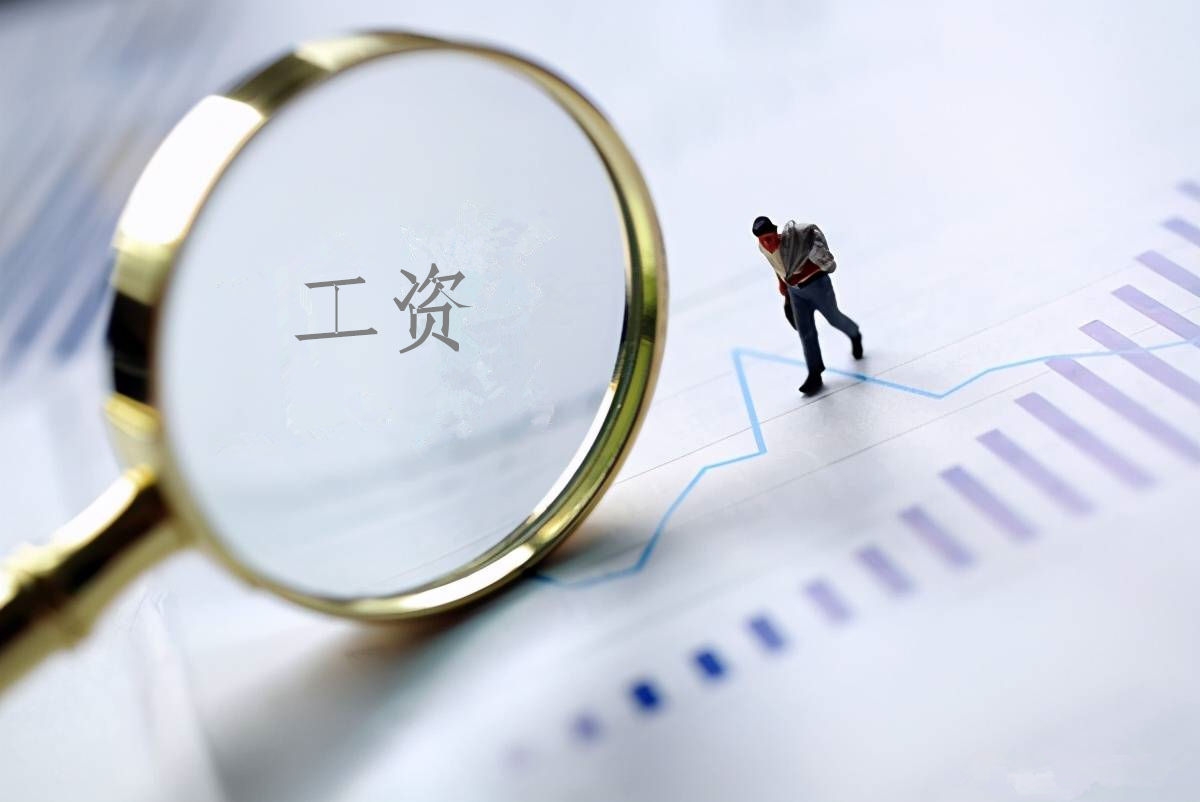 2022年度谈球吧·[中国]官方网站
工资总额信息披露